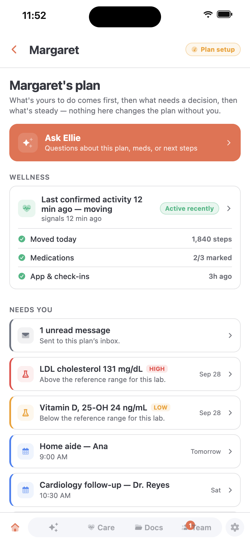 The care plan
