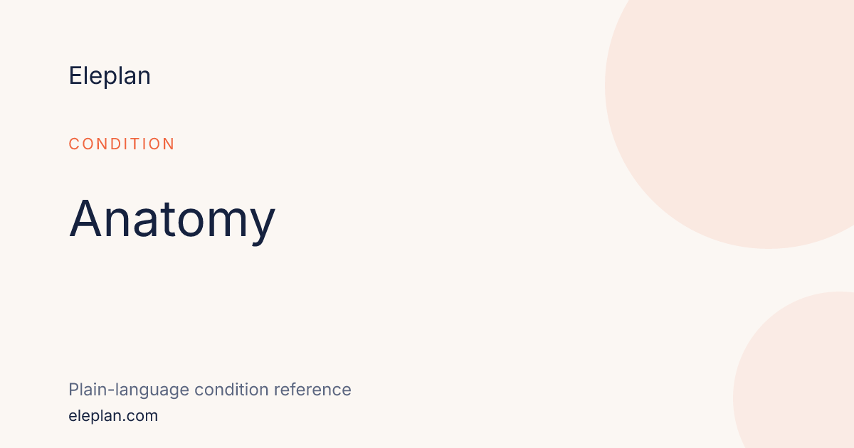 Anatomy — ICD-10 Codes & Medications · Eleplan