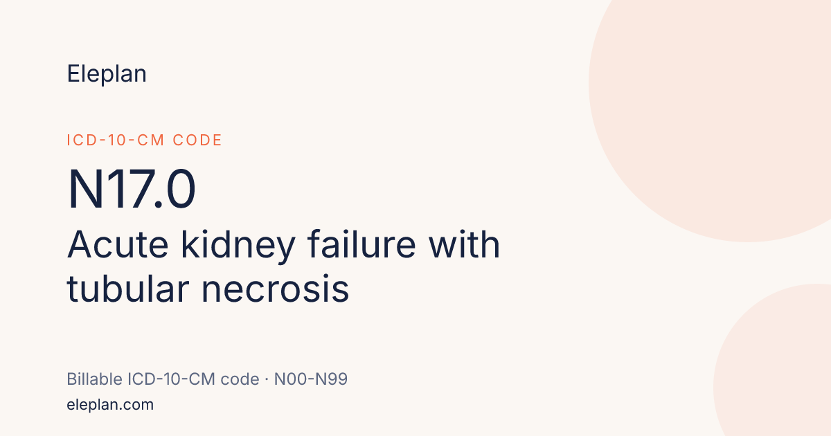 N17.0 — Acute kidney failure with tubular necrosis | ICD-10 Code · Eleplan